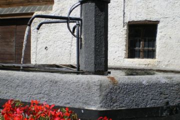 Sfoglia la galleria