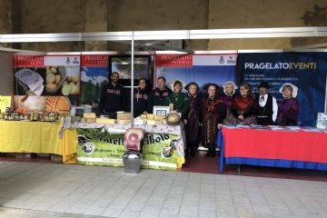 Sfoglia la galleria